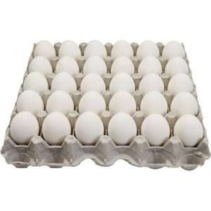 30x White chicken egg 1 Tray