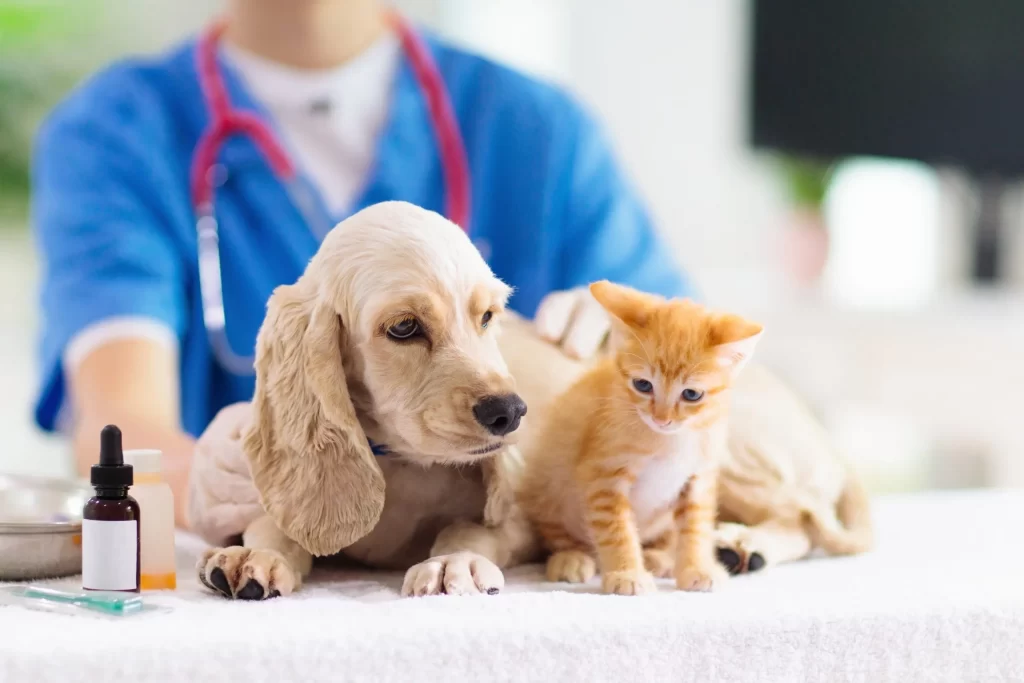 FREE Help to Pay Dog or Cat Surgery and Vet Expenses!
